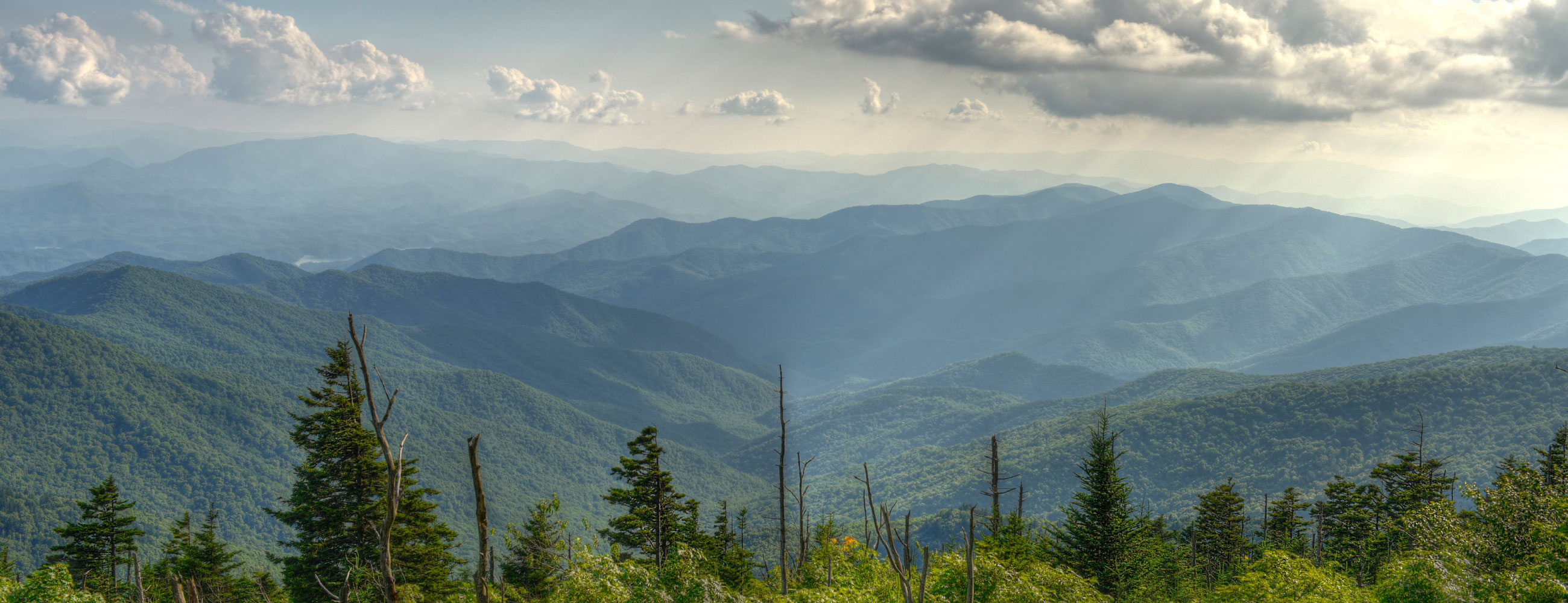 Тестовый Тестовый